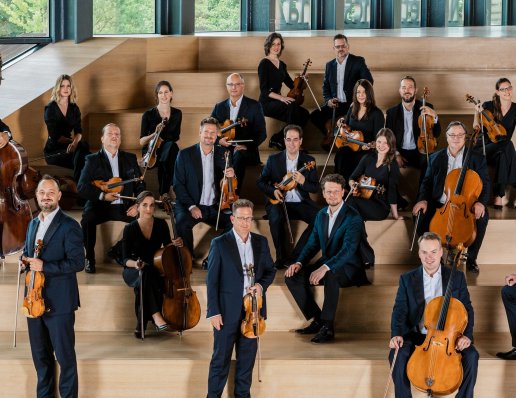 Franz Liszt Chamber Orchestra - Orquesta de cámara / Ensembles