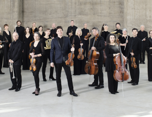 Academy St Martin in the Fields - Chamber Orchestra / Ensemble