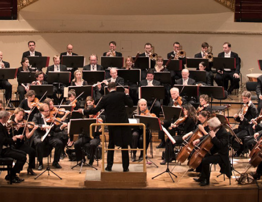 Orquesta de Cámara de Viena - Chamber Orchestra / Ensemble